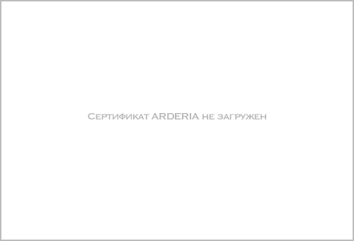 Официальный сервис центр котлов Ардерия